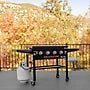 Blackstone 4-Burner Propane Gas Hard-Top Griddle, 36 in.