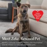 Bissell CrossWave Turbo All-in-One Wet Dry Vacuum Mop, 3888A