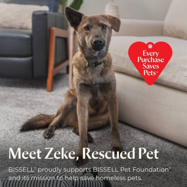 BISSELL Revolution HydroSteam Pet Carpet Cleaner, 3432