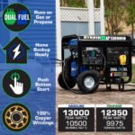 DuroMax 13,000 Watt Dual Fuel Portable Generator XP13000EH