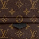 Louis Vuitton PALM SPRINGS MINI