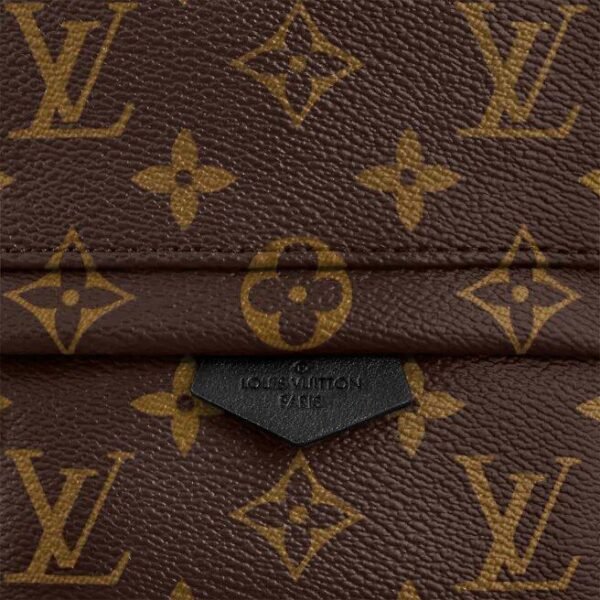 Louis Vuitton PALM SPRINGS MINI