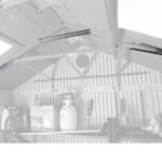 D Plastic Storage Shed 8 ft. W x 20 ft