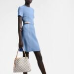 Louis Vuitton Graceful PM Damier Azur