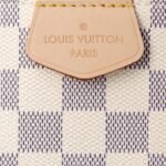 Louis Vuitton Graceful PM Damier Azur