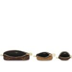 Louis Vuitton TRIO POUCH