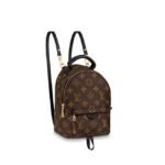 Louis Vuitton PALM SPRINGS MINI
