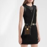 Louis Vuitton  VERTICAL TRUNK POCHETTE black