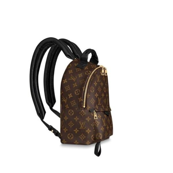 louis-vuitton-palm-springs-pm-monogram-canvas-handbags-M44871_PM1_Sideview_94f267d1-2de2-42b2-94b5-03c961d78141