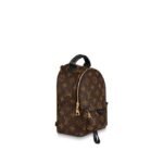 Louis Vuitton PALM SPRINGS MINI
