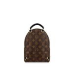 Louis Vuitton PALM SPRINGS MINI