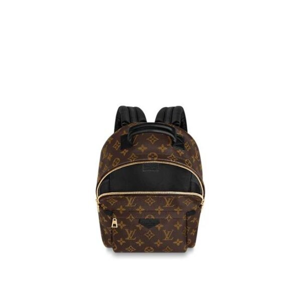 Louis Vuitton PALM SPRINGS PM