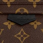 Louis Vuitton PALM SPRINGS PM