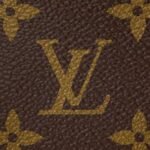 Louis Vuitton MINI POCHETTE ACCESSOIRES