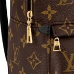Louis Vuitton PALM SPRINGS MINI