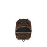 Louis Vuitton PALM SPRINGS MINI