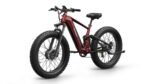 PUCKIPUPPY GoldenR Dual-Motor E-Bike