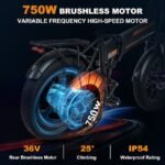 Colorway ORANGE Electric Bike