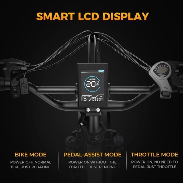 Peak Jasion X- Hunter Electric Bike