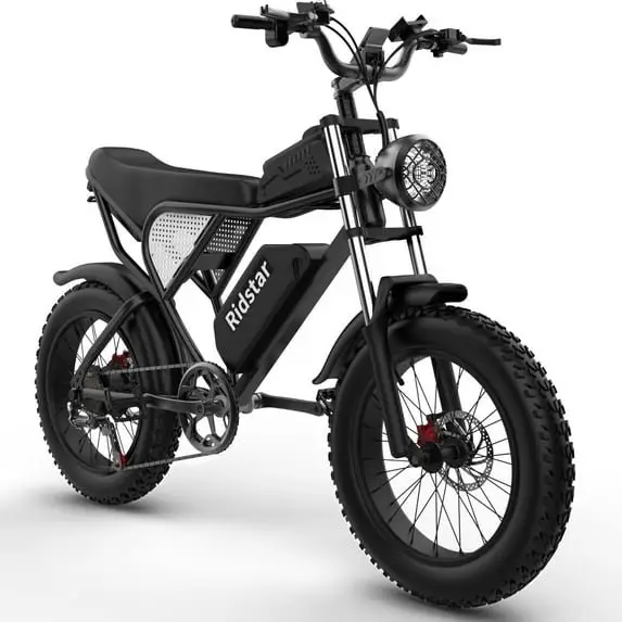 Ridstar Electric Bike for Adults 1500w 33mph,48v 20ah Electric Bicycle,20″ Fat Tire,7-Speed Mountain Bike Ul2849