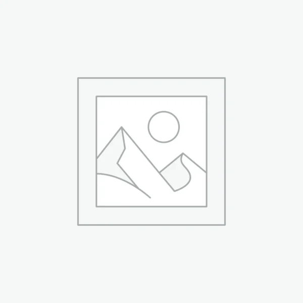 Frigidaire 30″ Electric Range with Air Fry